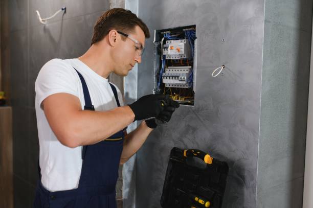 Best Electric Panel Repair  in Nashotah, WI