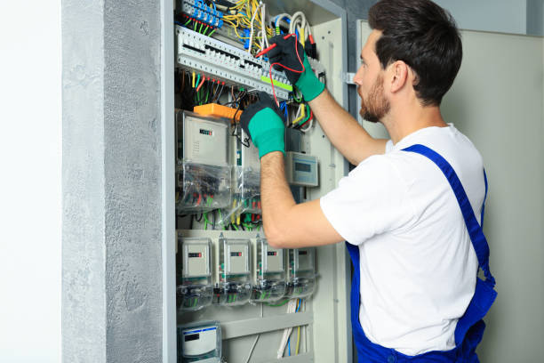 Best Electrical Troubleshooting Services  in Nashotah, WI